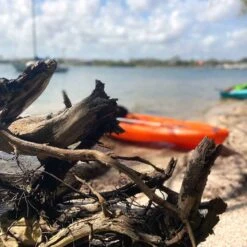 Pelican Sport Pulse 100X With Paddle Kayak -Pelican Sport Shop KOS10P102 00 LS4